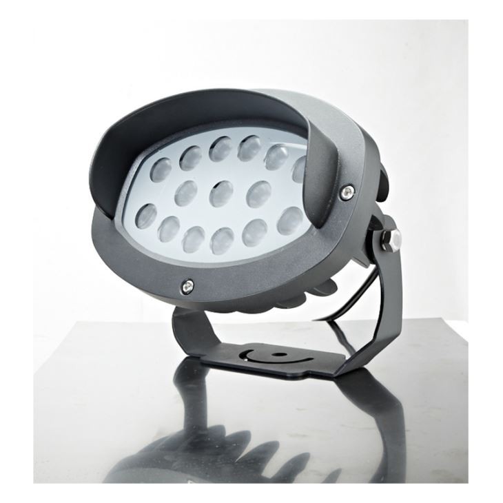 6w Rose Flood Light
